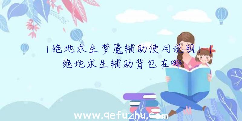 「绝地求生梦魇辅助使用说明」|绝地求生辅助背包在哪